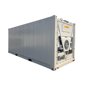 20ft DV Reefer Container